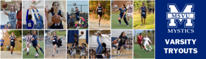 varsity sports picture including athletes from soccer, basketball, volleyball and cross country