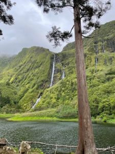A waterfall located in the Azores
