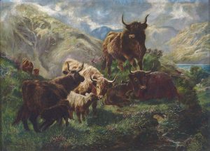 Edith MacDonald's work "Untitled (Highland Cattle)"